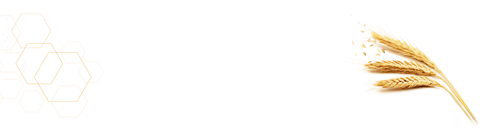 WIR SIND 01 Fert Organic