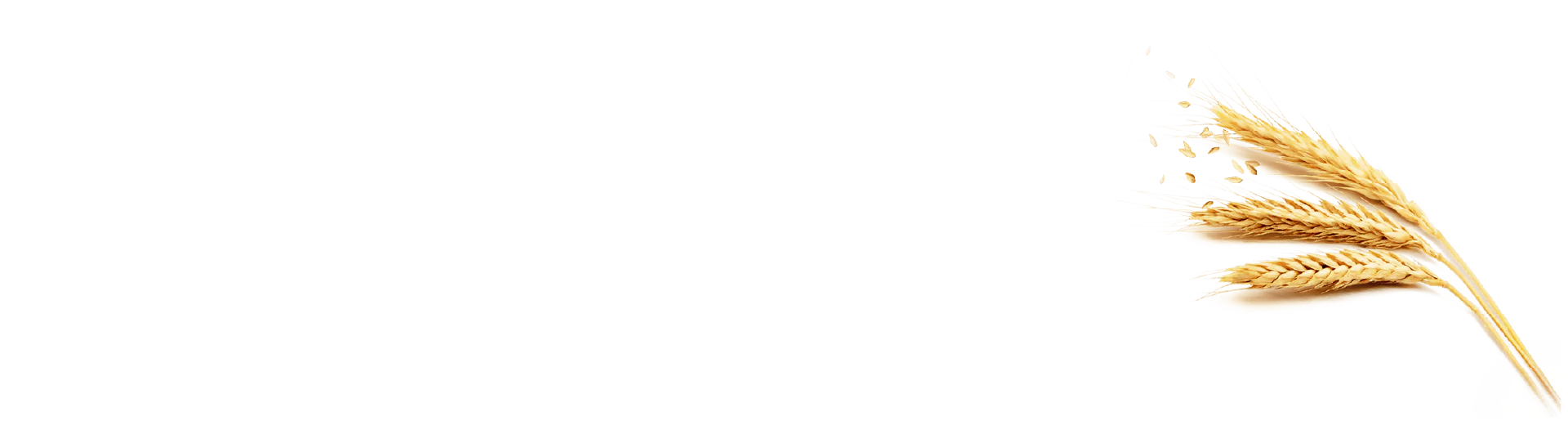 unsere geschichte 2 Fert Organic