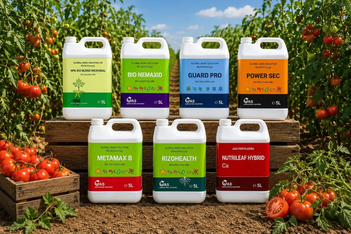 Fert Organic - biologischer anbau von tomaten mit organischen technologien von fert organic Verschiedene organische Düngemittel für Tomaten